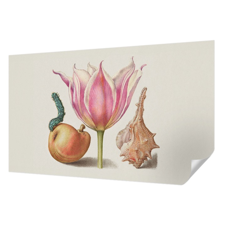 Öntapadós Tapéta Falra, Wallfluent, Természetes szimbiózis, Bézs, 416 x 254 cm, Erős Ragasztó, Modern Belsőépítészeti Dekoráció, 010170060070000285485