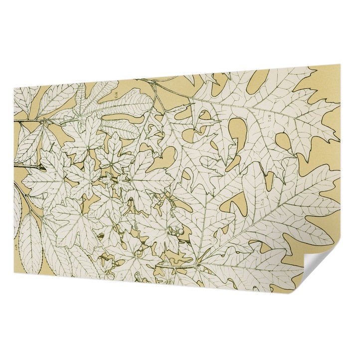Öntapadós Tapéta Falra, Wallfluent, Fa levelek, Sárga, 416 x 254 cm, Klasszikus, Könnyen Felszerelhető, 010170060070000285487