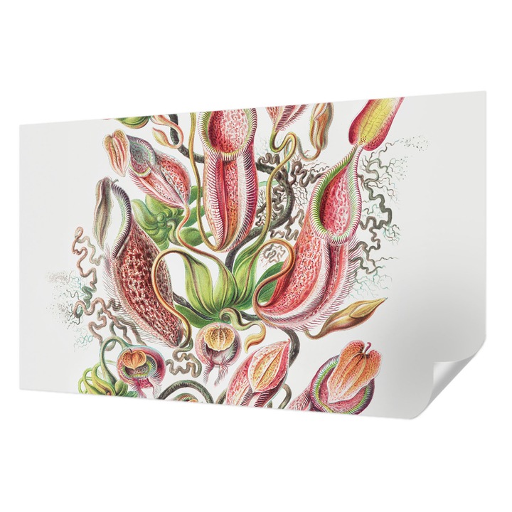 Öntapadós Fotótapéta Falra, Wallfluent, Növény részletei, Zöld, 416 x 254 cm, Erős Ragasztó, Modern Belsőépítészeti Dekoráció, 010170060070000285493