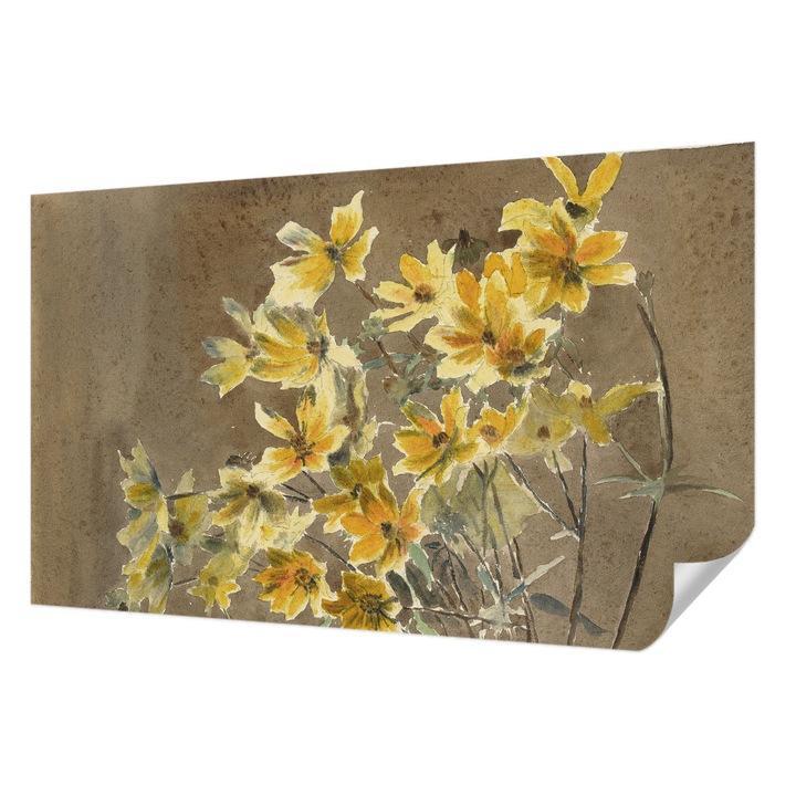 Fali Fotótapéta Autodeziv, Wallfluent, Buchet insorit, Maro, 416 x 254 cm, Pentru Baie, Bucatarie, 010170060070000285581