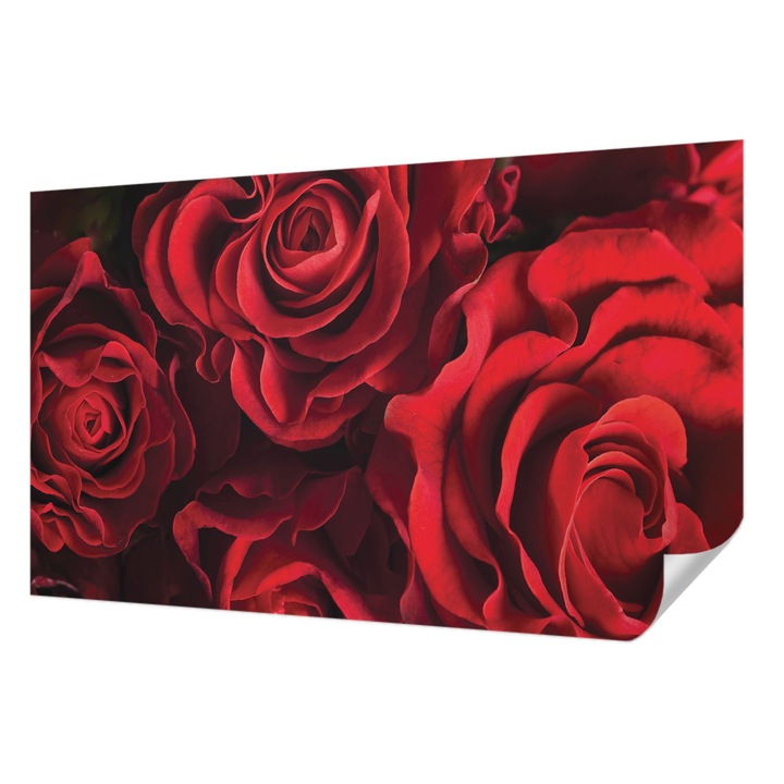 Öntapadós Fotótapéta Falra, Wallfluent, Vörös rózsák, Piros, 416 x 254 cm, Előszobába, Hálószobába, 010170060070000034417