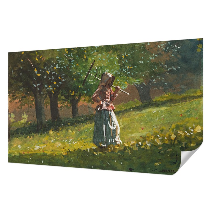 Öntapadós Tapéta Falra, Wallfluent, Őszi délután, Zöld, 416 x 254 cm, Klasszikus, Könnyen Felszerelhető, 010170060070000285653