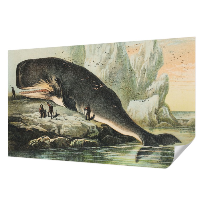 Öntapadós Tapéta Falra, Wallfluent, Tengeri gigantizmus, Fekete, 416 x 254 cm, Erős Ragasztó, Modern Belsőépítészeti Dekoráció, 010170060070000285652