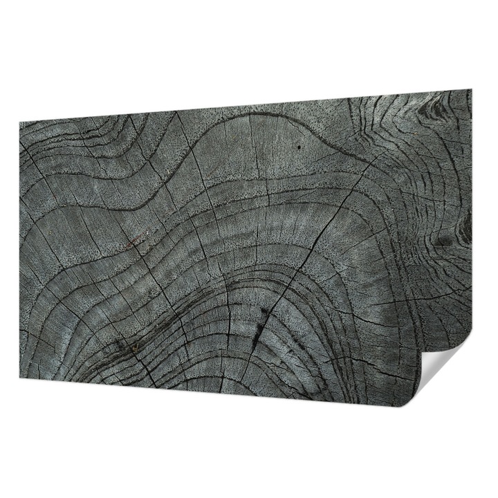 Öntapadós Dekor Tapéta, Wallfluent, Szemcsés minta, Szürke, 416 x 254 cm, Modern Dizájn, Könnyen Felszerelhető És Tisztítható, 010170060070000282502