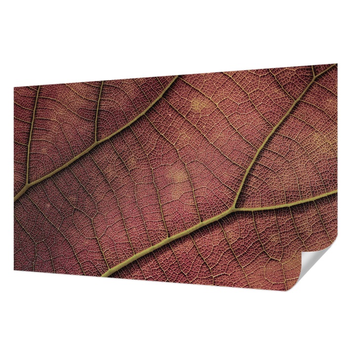 Öntapadós Fotótapéta Falra, Wallfluent, Leveles textúra, Barna, 416 x 254 cm, Könnyen Tisztítható, Nedvességálló, 010170060070000282597