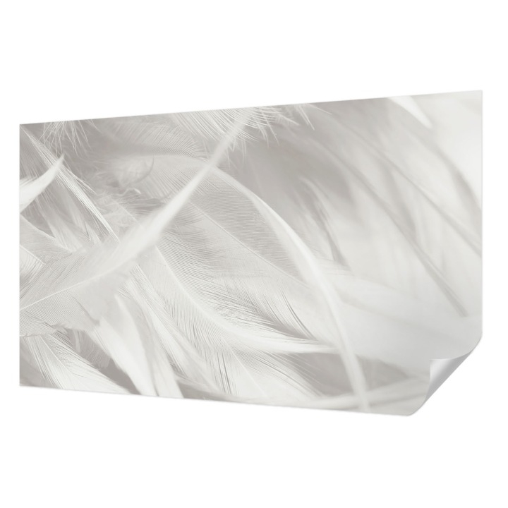 Öntapadós Tapéta Fali Dekoráció, Wallfluent, Finom tollak, Fehér, 416 x 254 cm, Előszobába, Hálószobába, 010170060070000282655