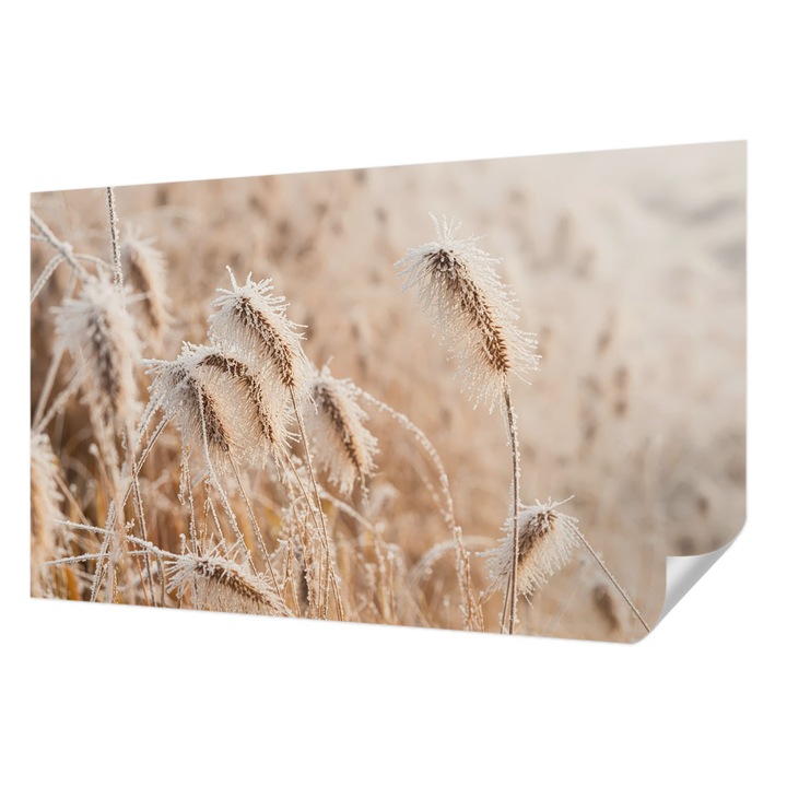 Öntapadós Tapéta Falra, Wallfluent, Téli táj, Fehér, 416 x 254 cm, Nappaliba, Konyhába, 010170060070000284895