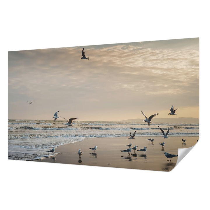 Fali Fotótapéta Autodeziv, Wallfluent, Liniste la malul marii, Negru, 416 x 254 cm, Detasabil, Lavabil, 010170060070000285155