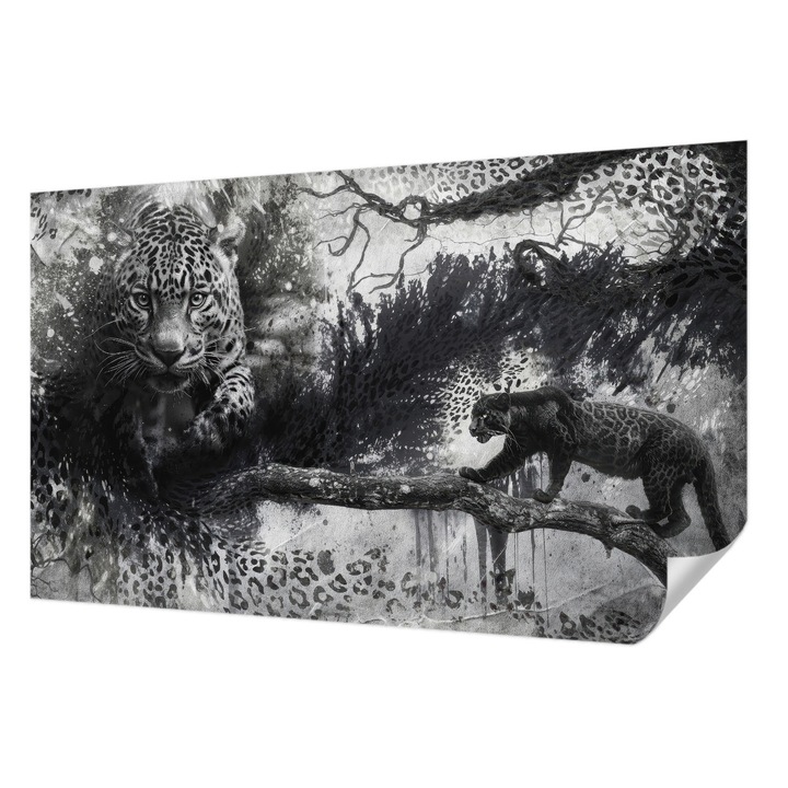 Öntapadós Fotótapéta Falra, Wallfluent, Absztrakt leopárdok, Fekete és fehér, 416 x 254 cm, Nappaliba, Konyhába, 010170060070000285279