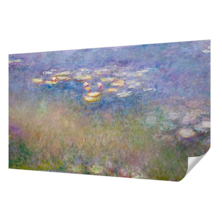 Öntapadós Tapéta Fali Dekoráció, Wallfluent, Tavirózsák, Zöld, 416 x 254 cm, Nappaliba, Konyhába, 010170060070000285294