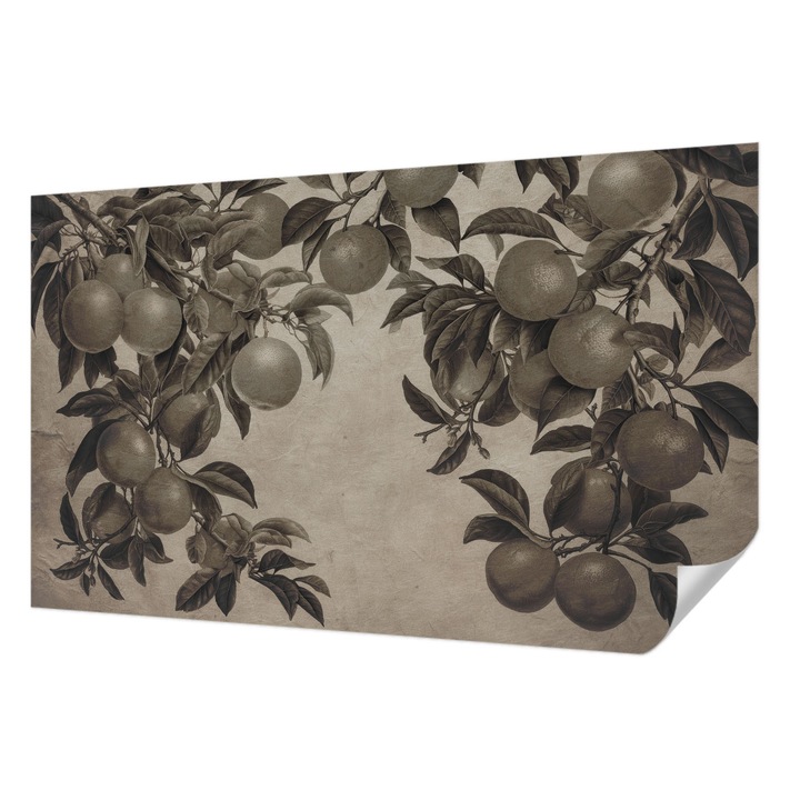Öntapadós Fotótapéta Falra, Wallfluent, Gyümölcsminta, Szürke, 416 x 254 cm, Dekoráció, Erős Ragasztó, 010170060070000285310