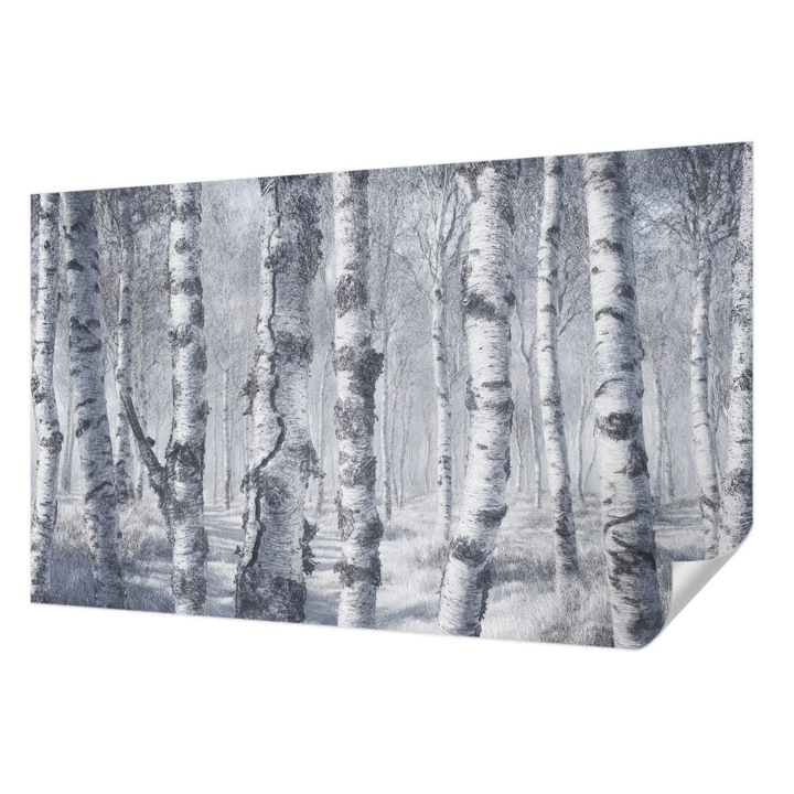 Öntapadós Dekor Tapéta, Wallfluent, Fagyos természet, Szürke, 416 x 254 cm, Dekoráció, Falra, 010170060070000285319