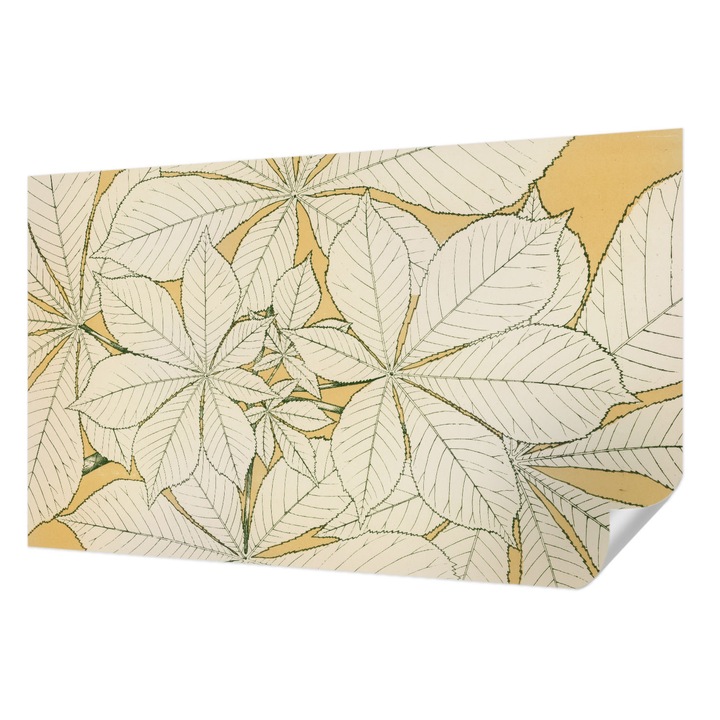 Öntapadós Tapéta Falra, Wallfluent, Gesztenye levelek, Bézs, 416 x 254 cm, Dekoráció, Klasszikus, 010170060070000285486