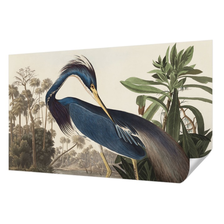 Öntapadós Dekor Tapéta, Wallfluent, Egzotikus természet, Kék, 416 x 254 cm, Erős Ragasztó, Modern Belsőépítészeti Dekoráció, 010170060070000285596