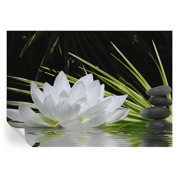 Fototapet Tulup, Meditatia crinului, Alb, 208x146cm, Lavabil, Autodeziv