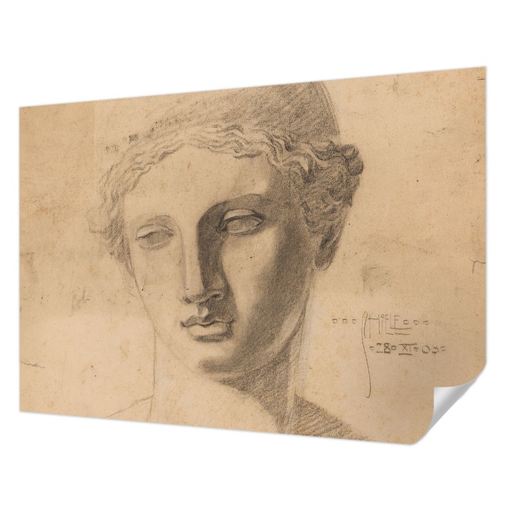 Fali Fotótapéta Autocolant, Wallfluent, Portret feminin, Bej, 208 x 146 cm, Pentru Living, Birou, Hol, 010170060950000285401