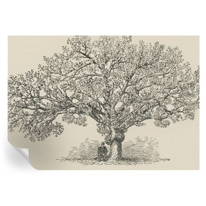 Öntapadós Tapéta Falra, Tulup, Fa illusztráció, Fekete és fehér, 312 x 219 cm, Dekoráció, Nedvességálló, 010170060960000285419