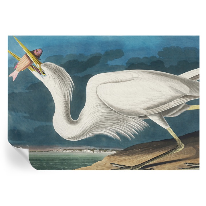 Tapet autocolant Tulup, Pasare cu peste, Alb, 208x146cm, Lavabil