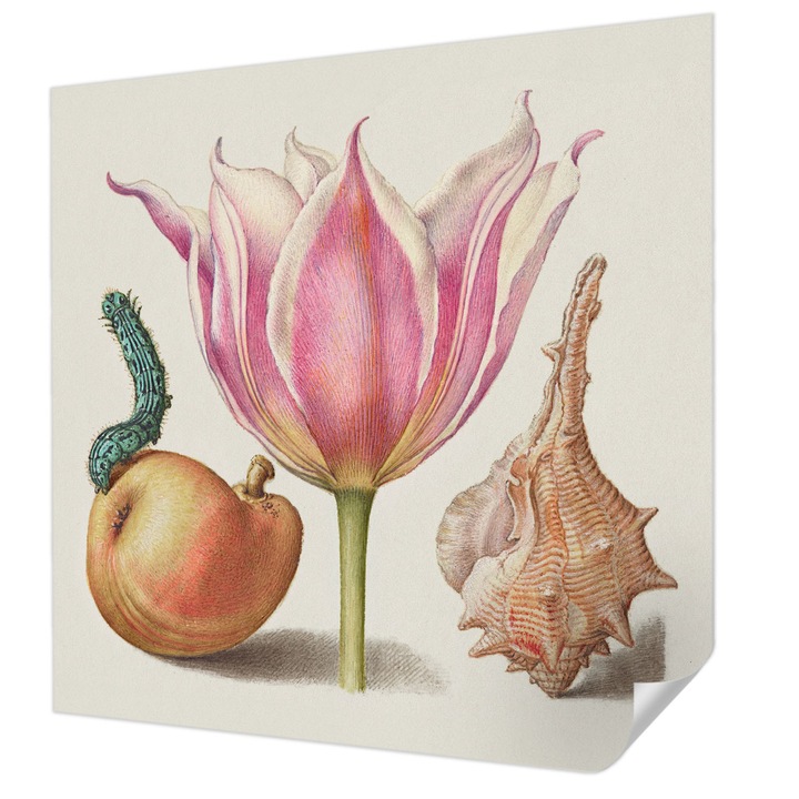 Öntapadós Tapéta Falra, Wallfluent, Természetes szimbiózis, Bézs, 250 x 250 cm, Erős Ragasztó, Modern Belsőépítészeti Dekoráció, 010170060030000285485