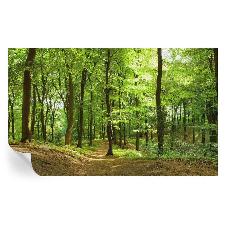 Tapet Autodeziv De Perete, Tulup, Calea naturala, Verde, 416 x 254 cm, Decorativ, Usor De Instalat, 010170060070000000799