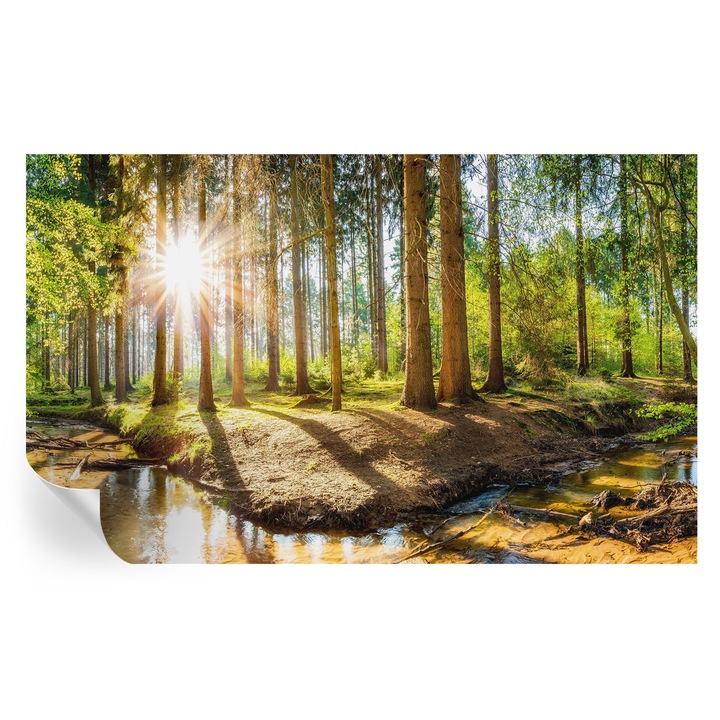 Öntapadós Dekor Tapéta, Tulup, Erdei idill, Zöld, 416 x 254 cm, Dekoráció, Nedvességálló, 010170060070000007339