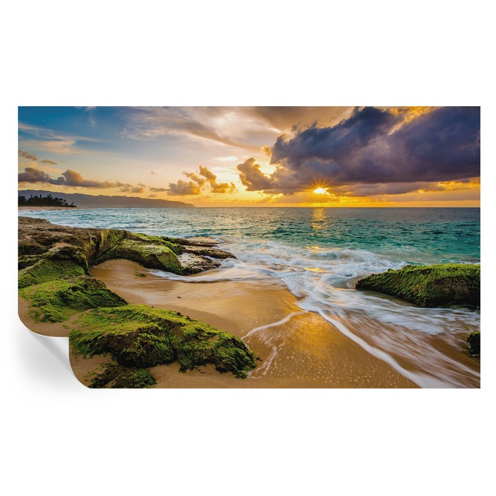 Öntapadós Dekor Tapéta, Tulup, Tengeri harmónia, Zöld, 416 x 254 cm, Dekoráció, Előszobába, Konyhába, 010170060070000007713