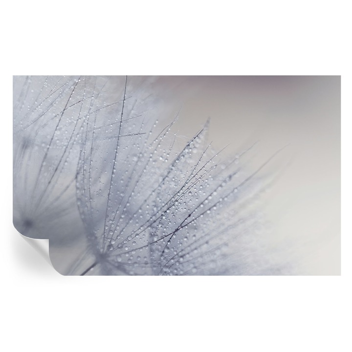 Tapet Autodeziv De Perete, Tulup, Papadie inrosita, Alb, 416 x 254 cm, Decorativ, Pentru Birou, 010170060070000028293