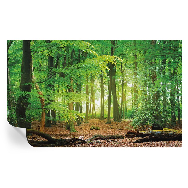 Tapet Textil Autocolant, Tulup, Padurea verde, Verde, 416 x 254 cm, Decorativ, Pentru Birou, 010170060070000034572