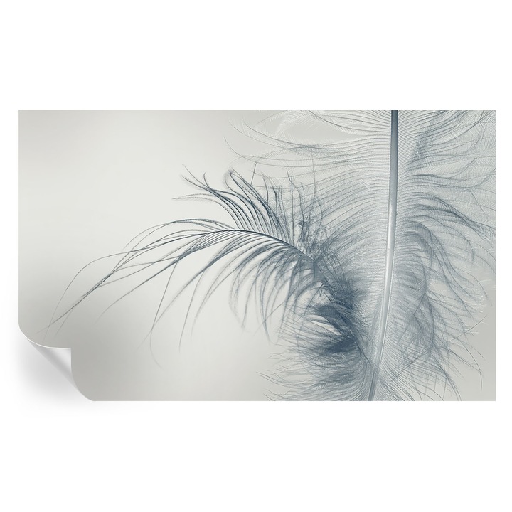 Öntapadós Tapéta Falra, Tulup, Finom toll, Fehér, 416 x 254 cm, Dekoráció, Nedvességálló, 010170060070000285023