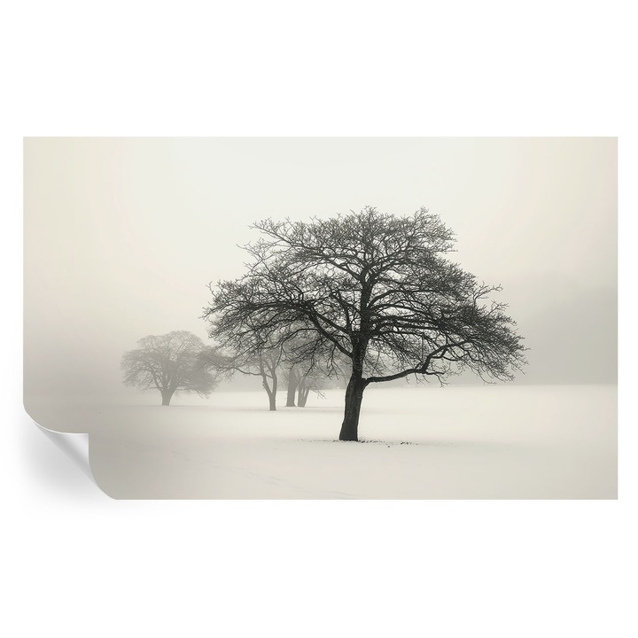 Fali Fotótapéta Autodeziv, Tulup, Copaci de iarna, Alb, 416 x 254 cm, Decorativ, Pentru Bucatarie, Baie, 010170060070000285053