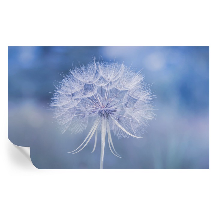 Tapet Autodeziv De Perete, Tulup, Delicatese albastre, Albastru, 416 x 254 cm, Decorativ, Usor De Montat Si Rezistent, 010170060070000285225