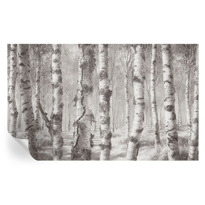 Tapet Autodeziv De Perete, Tulup, Padure de mesteacan, Gri, 416 x 254 cm, Decorativ, Pentru Sufragerie, Dormitor, 010170060070000285318