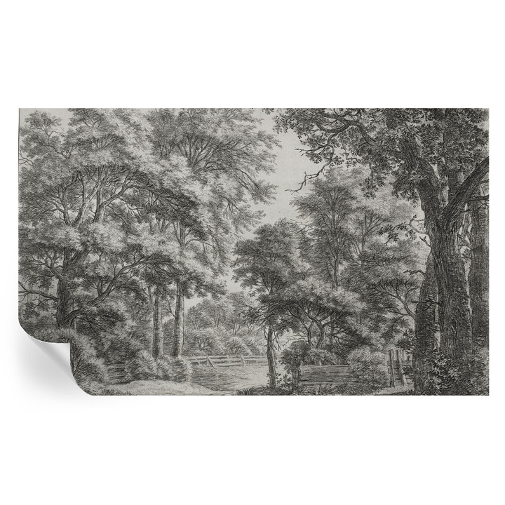 Tapet Textil Autocolant, Tulup, Peisaj forestier, Multicolor, 416 x 254 cm, Decorativ, Pentru Living, Hol, 010170060070000285359