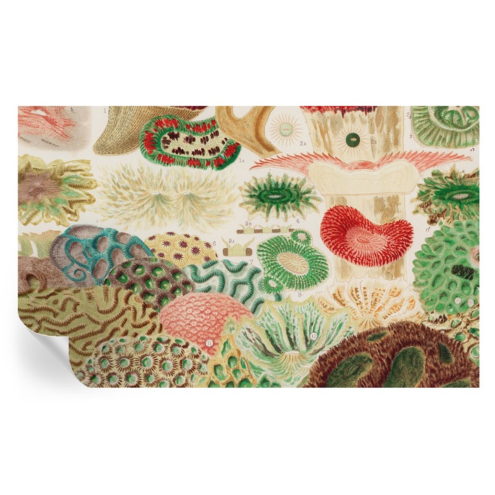 Tapet Autodeziv De Perete, Tulup, Forme organice, Verde, 416 x 254 cm, Decorativ, Usor De Instalat, 010170060070000285436