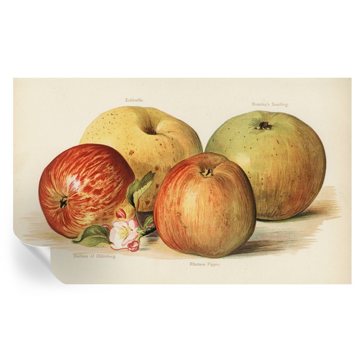 Tapet Textil Autocolant, Tulup, Flori de mar, Galben, 416 x 254 cm, Decorativ, Stickere Decorative, 010170060070000285417