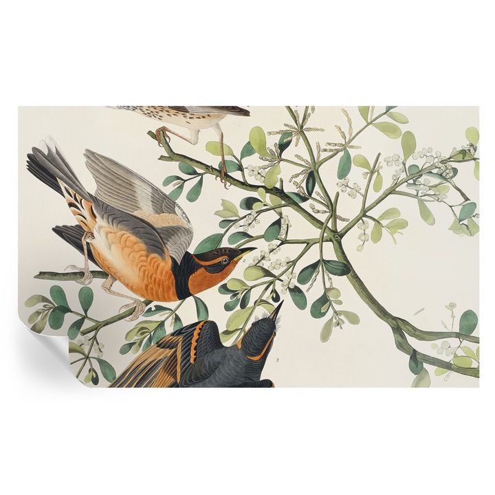 Tapet Textil Autocolant, Tulup, Pasari colorate, Alb, 416 x 254 cm, Decorativ, Usor De Instalat, 010170060070000285475