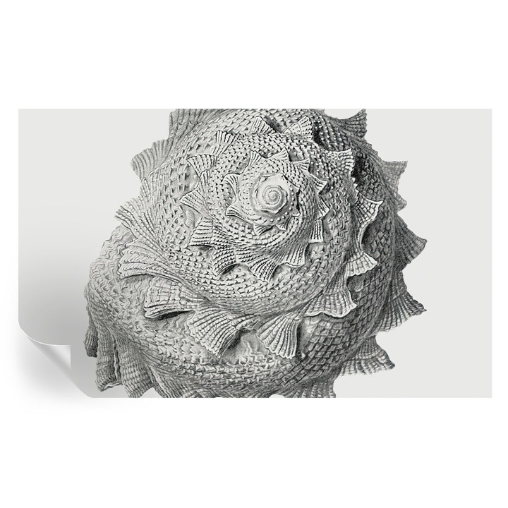 Tapet Autocolant De Perete, Tulup, Arta naturii, Gri, 416 x 254 cm, Decorativ, Pentru Sufragerie, Dormitor, 010170060070000285491