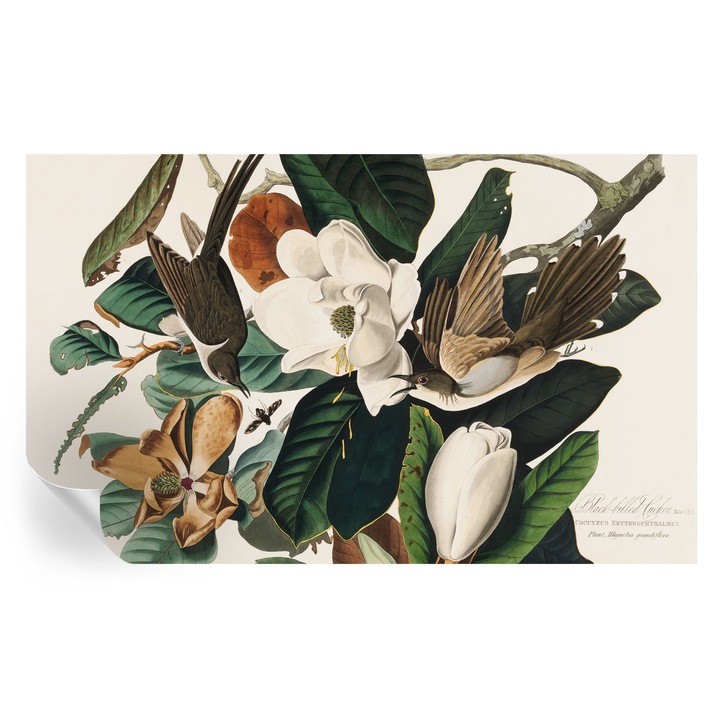 Öntapadós Fotótapéta Falra, Tulup, Madarak magnóliák, Zöld, 416 x 254 cm, Dekoráció, Könnyen Felszerelhető És Tisztítható, 010170060070000285473