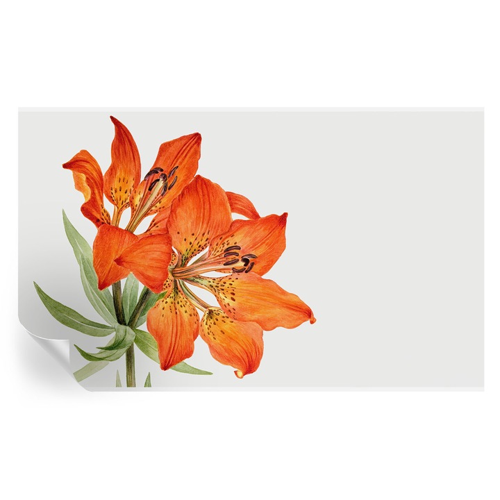 Tapet Textil Autocolant, Tulup, Crin portocaliu, Portocaliu, 416 x 254 cm, Decorativ, Stickere Decorative, 010170060070000285484