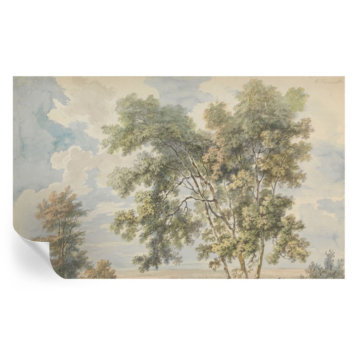 Öntapadós Dekor Tapéta, Tulup, Romantikus természet, Zöld, 416 x 254 cm, Dekoráció, Könnyen Tisztítható, 010170060070000285528