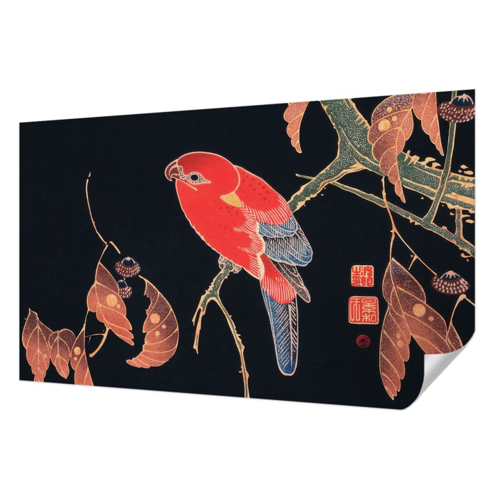 Öntapadós Tapéta Fali Dekoráció, Wallfluent, Egzotikus madár, Fekete, 416 x 254 cm, Előszobába, Hálószobába, 010170060070000285416