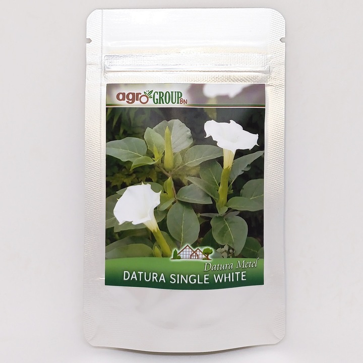 Seminte de Trompeta Ingerilor Datura Metel White - Agro Group BN