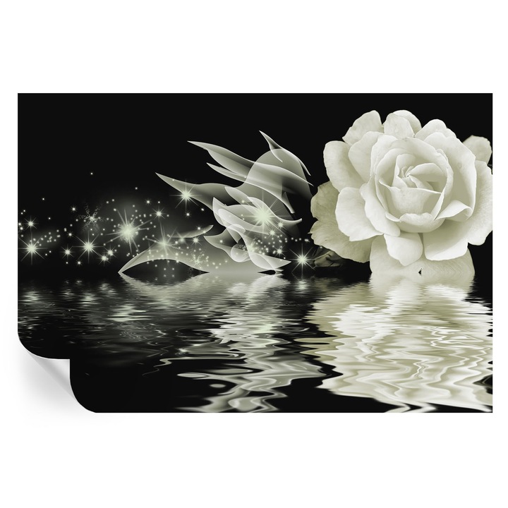 Öntapadós Dekor Tapéta, Tulup, Világító rózsa, Fehér, 104 x 70 cm, Dekoráció, Könnyen Felszerelhető És Tisztítható, 010170060170000000365