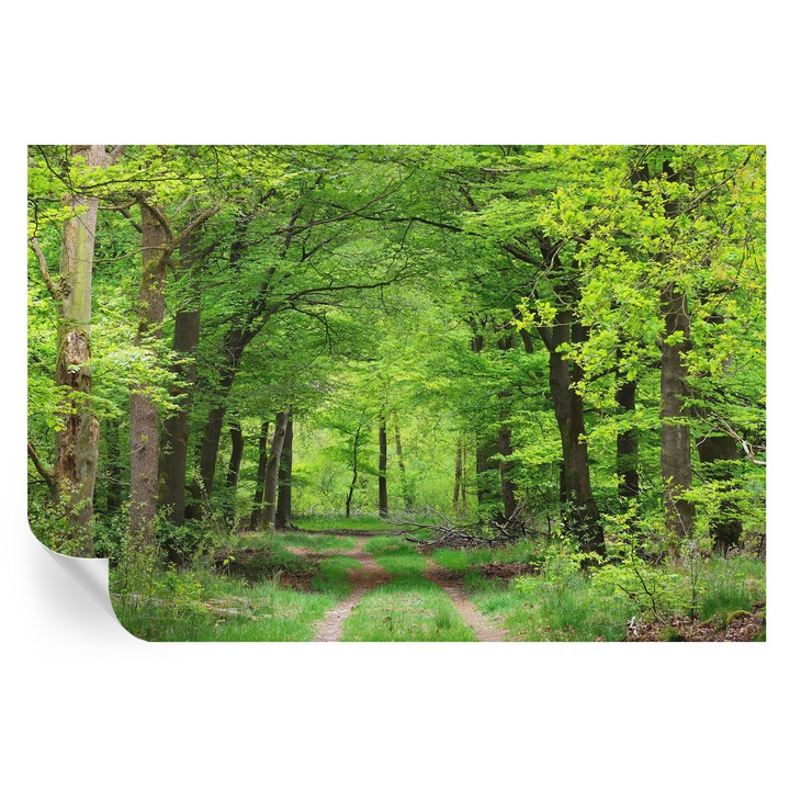 Tapet Autodeziv De Perete, Tulup, Calea padurii, Verde, 104 x 70 cm, Decorativ, Pentru Interior, 010170060170000007217
