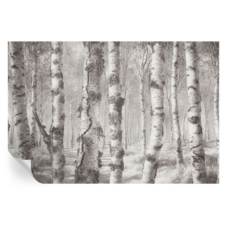 Tapet Autodeziv De Perete, Tulup, Padure de mesteacan, Gri, 104 x 70 cm, Decorativ, Pentru Sufragerie, Dormitor, 010170060170000285318
