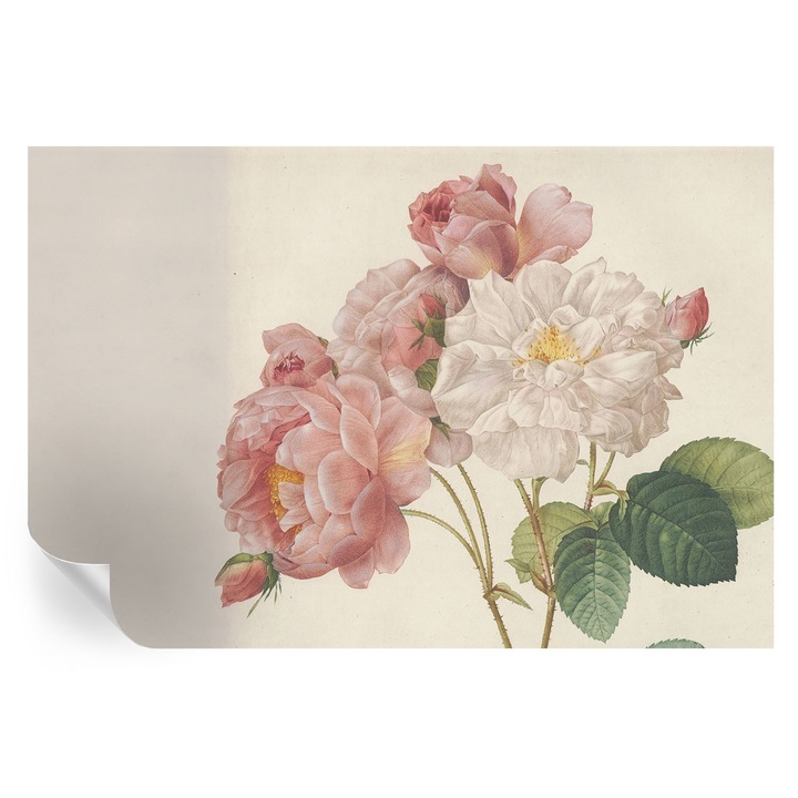 Tapet Autodeziv De Perete, Tulup, Trandafiri romantici, Roz, 104 x 70 cm, Decorativ, Adeziv Puternic, 010170060170000285380