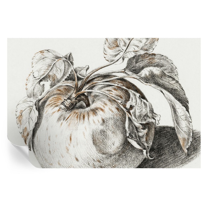 Tapet Autocolant De Perete, Tulup, Frunze de mar, Gri, 104 x 70 cm, Decorativ, Usor De Instalat, 010170060170000285422