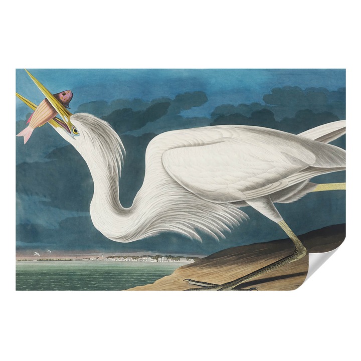 Tapet autocolant Tulup, Pasare cu peste, Alb, 104x70cm, Lavabil