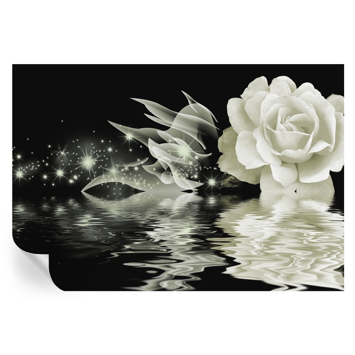 Tapet Autocolant De Perete, Tulup, Trandafir luminos, Alb, 152 x 104 cm, Decorativ, Usor De Instalat, 010170060180000000365