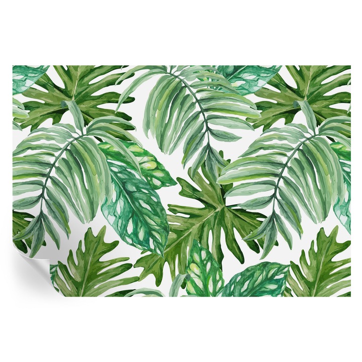 Fototapet tulup, verde, frunze exotice, 152x104cm, autocolant